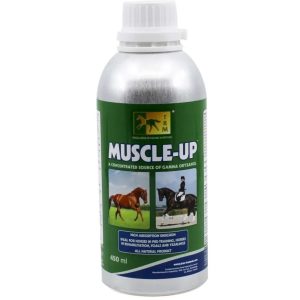 Muscle Up